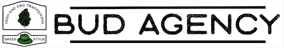 Bud Agency Logo